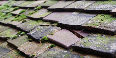 Pen Y Cae Mawr roof repair costs